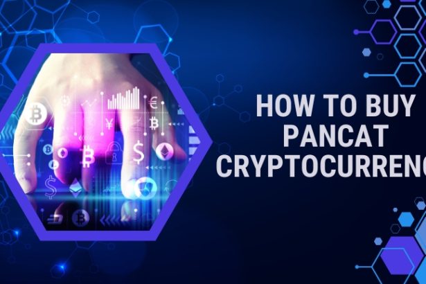 How to Buy Pancat Cryptocurrency