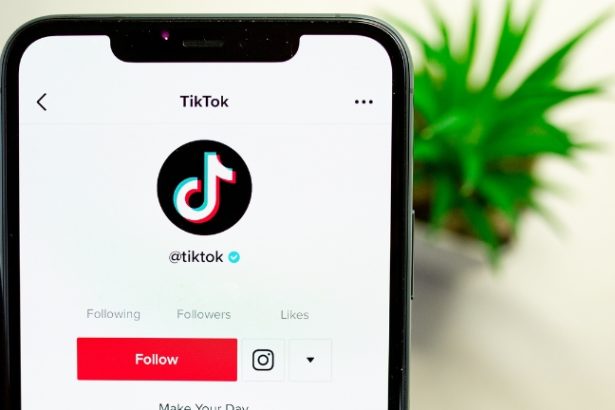 how to hide followers on tiktok