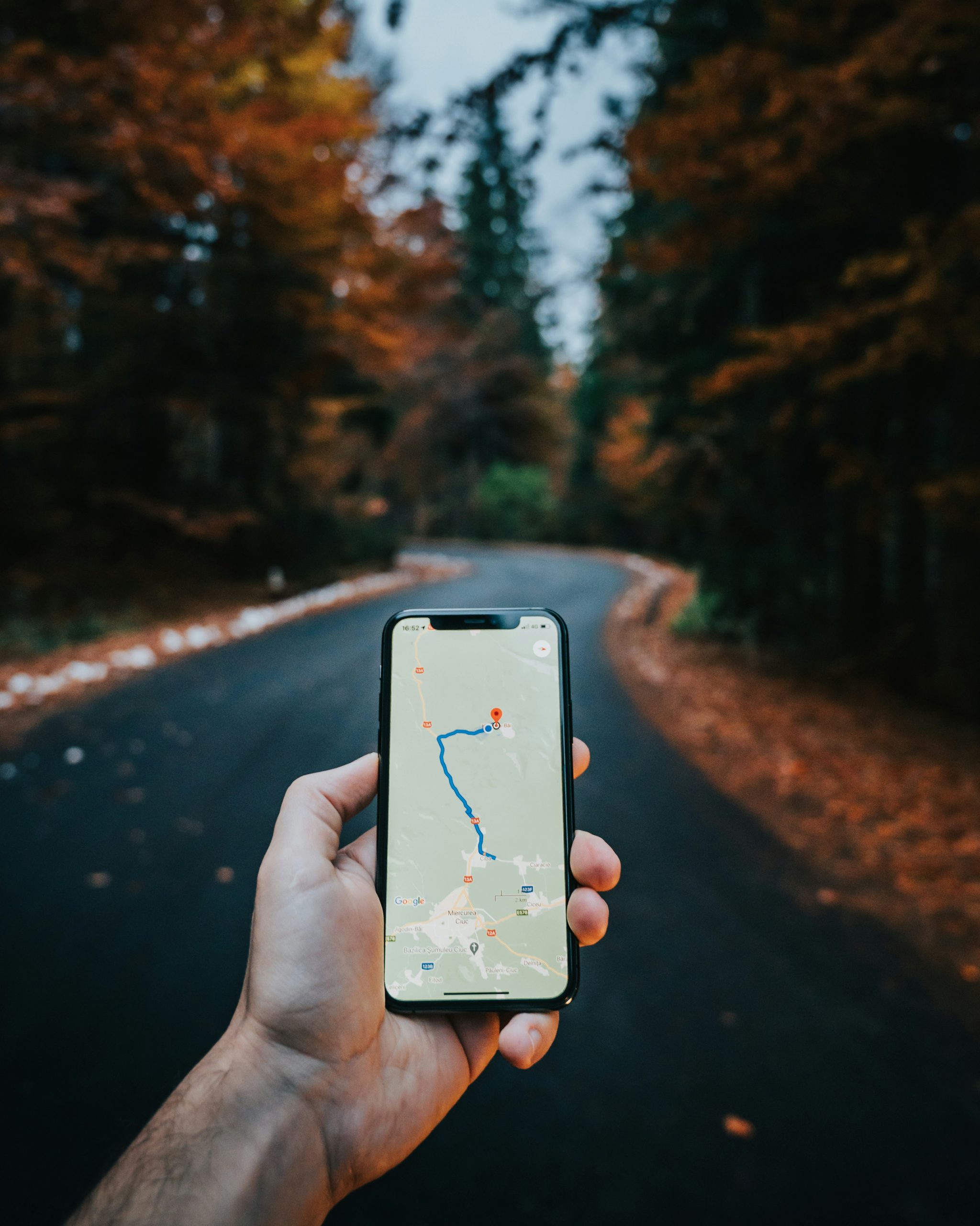 How To Force Google Maps To Take A Certain Route?